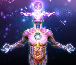 Comprendre les multiples dimensions et leurs perceptions associées.