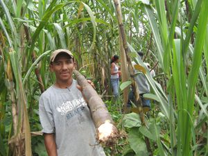 Colombie: le retour des paysans spoliés, la peur au ventre