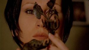 Le Film du jour n°72 : Ne prends pas les poulets pour des pigeons