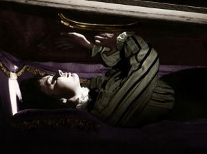 Le Film du jour n°105 : L'effroyable secret du docteur Hichcock