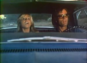Le Film du jour n°141 : Larry le dingue et Mary la garce