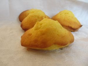 Madeleines à la fleur d'oranger