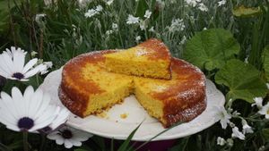 Gâteau moelleux à l'orange et aux amandes