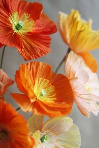 liens creatifs gratuits/ free craft links 05/08/16