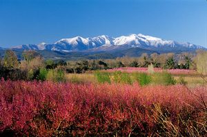 Le Qatar sur les startings-blocks pour acheter le Canigou! par Sébastien Navarro
