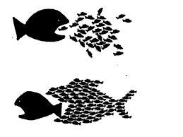 Commentaire(s) de la Loi Hamon sur l'action de groupe