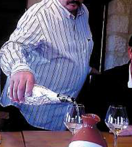 Vin bio vs Vin conventionnel : une expérience comique de Séralini et Douzelet