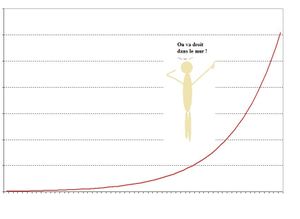 La peur exponentielle, un livre de Benoit Rittaud