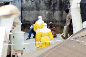 Guinée: Nette hausse du nombre de morts dus à une nouvelle souche d'Ebola