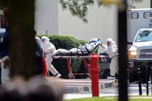 Ebola : les pistes de recherche de traitements et de vaccins