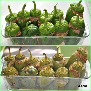 poivrons farcis