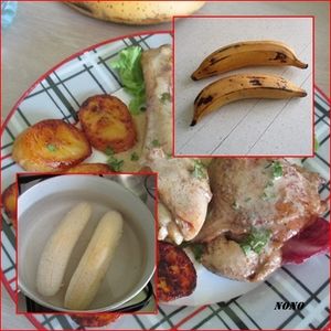 bananes palntains