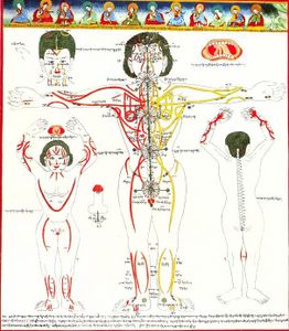 Les tibétains: des médecins de l'âme
