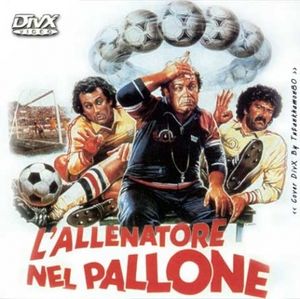 L'allenatore nel pallone