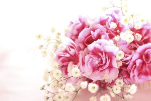 Di rosa, nel vento