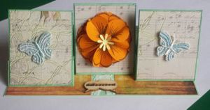 La carte ouverte