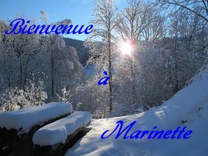 Bienvenue