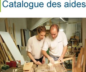 Catalogue des aides du Fiphfp (novembre 2014)