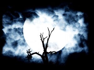 La magie noir