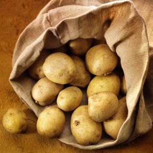 La pomme de terre...