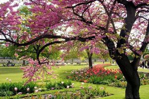 Le printemps...