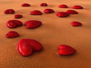 Tombe amoureux...
