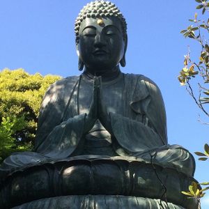 Les 25 citation de Bouddha