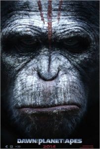 Box-Office France de la semaine du 13 au 19 Août 2014