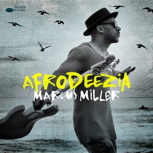 Nouveautés Musique (Sélection de la semaine du 16 Mars 2015)