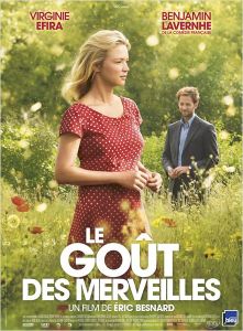 Les sorties Cinéma du 16 Décembre 2015