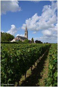 Saint-Emilion, Pomerol, où la vigne se fond dans la ville