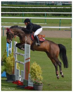 Envolées belles à Chantilly