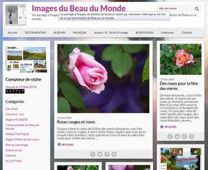 Des fleurs pour la fête des mères