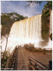 Que d'eau, que d'eau !... Les chutes d'Iguaçu