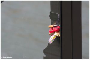 Scènes en bord de Seine : observation, admiration
