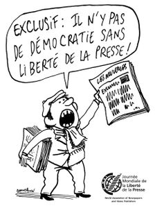 Revue de presse du Conseil municipal du lundi 29 septembre 2014