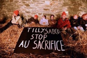 Avenir très sombre pour Tilly - Sabco
