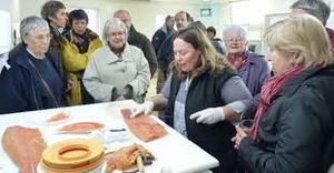 Soutien aux artisans commerçants de nos territoires