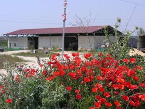 Fête des 10 ans à la Roustide le 28 mai