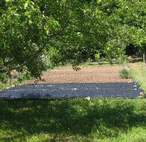 desherbage avec bache au potager