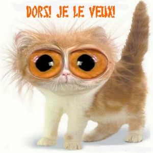 10 REGLES POUR BIEN DORMIR