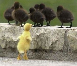 DISCRIMINATION