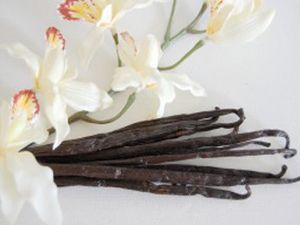 Crème au caramel et vanille de la Réunion
