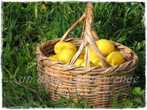 Verrines de citron meringué