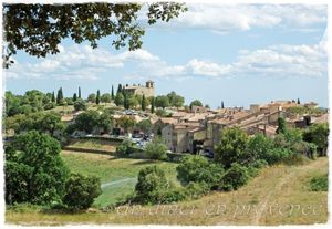 Tourtour (Var 83)