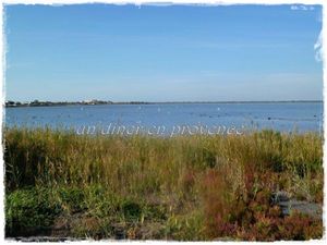 La Camargue - Saintes Marie de la mer (Bouches du Rhône 13)