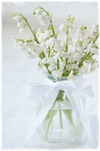 Sirop de menthe maison & bon 1er mai