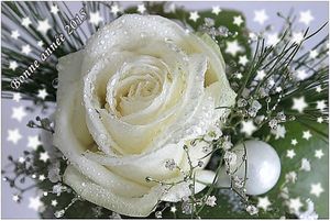Jeu concours chez Nicole Passions