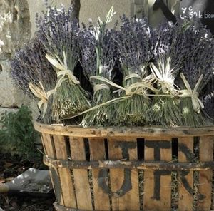 Gentilles attentions N° 2