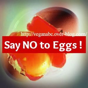 Thay trứng bằng gì? - Vegan egg substitues
